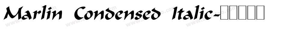 Marlin Condensed Italic字体转换